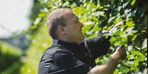 compri dal produttore